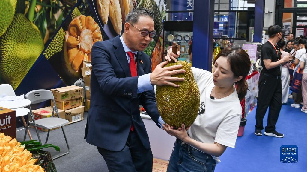 免费送彩金游戏平台